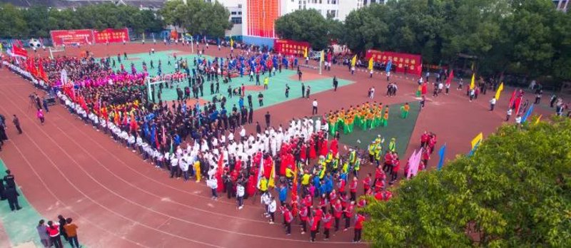 如何通过体育组织形式符号图打造品牌识别度？