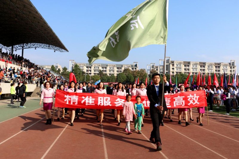 体育组织形式符号图：如何清晰展示团队结构与职责